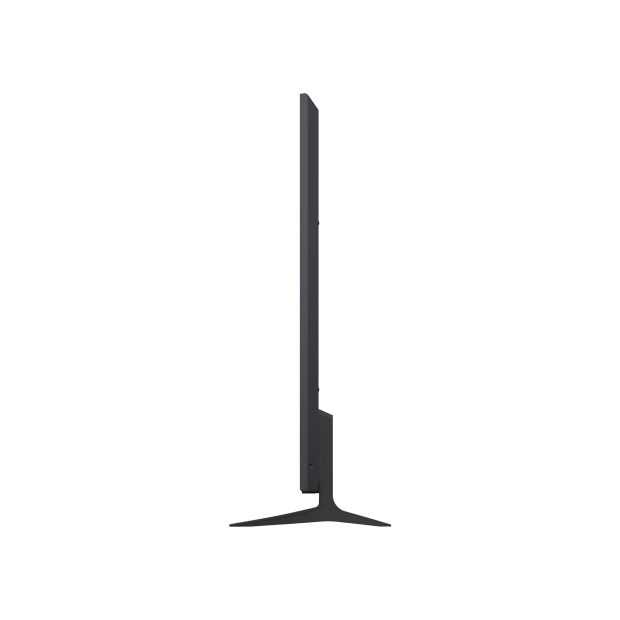 LG Micro RGB evo AI (벽걸이형) 189cm